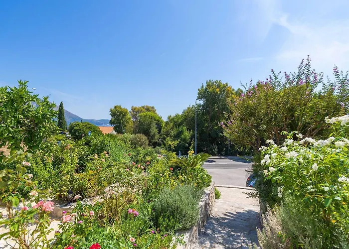 Djurkovic - Two-bedroom With Shared Terrace And Sea View 公寓 米利尼